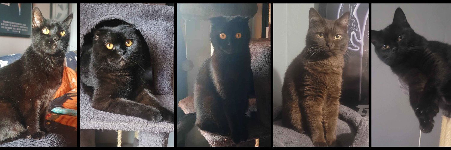 BogleStyx 🔜 HorrorCon 🏴󠁧󠁢󠁳󠁣󠁴󠁿 banner