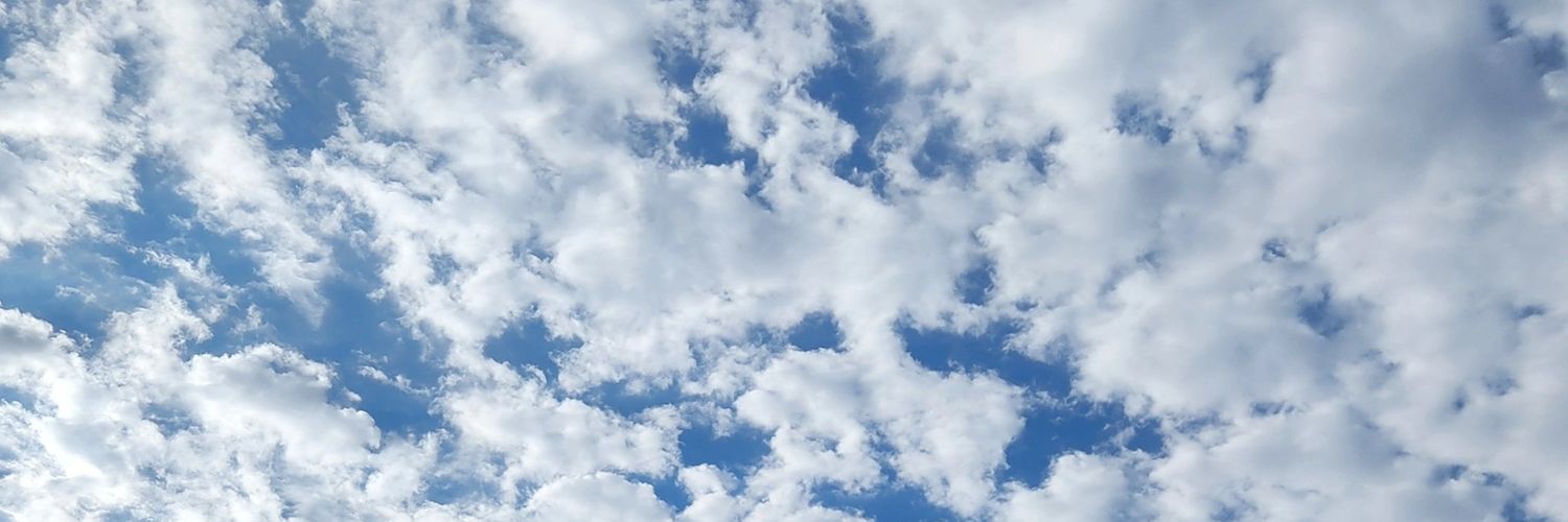 rosesmith4456's profile banner image