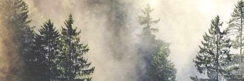 JamieMarieh's profile banner image