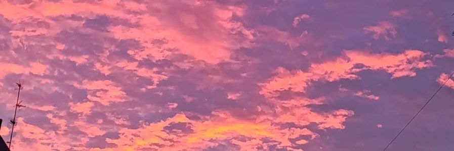 joseda_ct's profile banner image