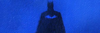 Big Blue Batman banner