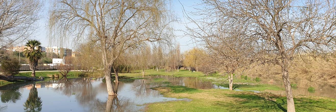 Juan Medina Cobo banner