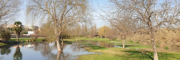 juanquart Profile Banner