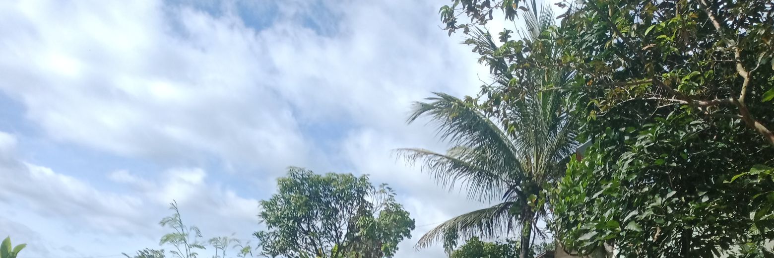 Libye0's profile banner image
