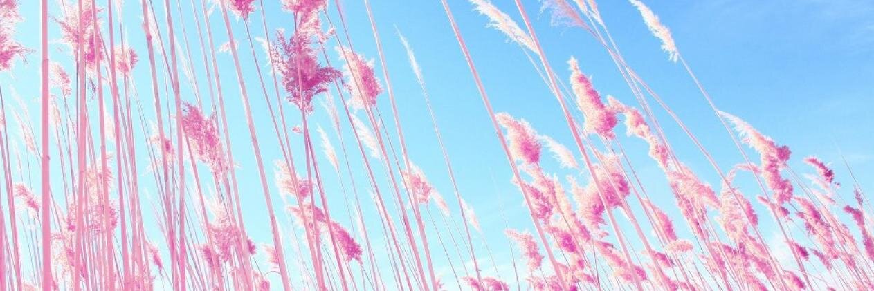 maakone's profile banner image