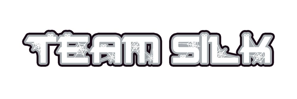 Team Silk banner