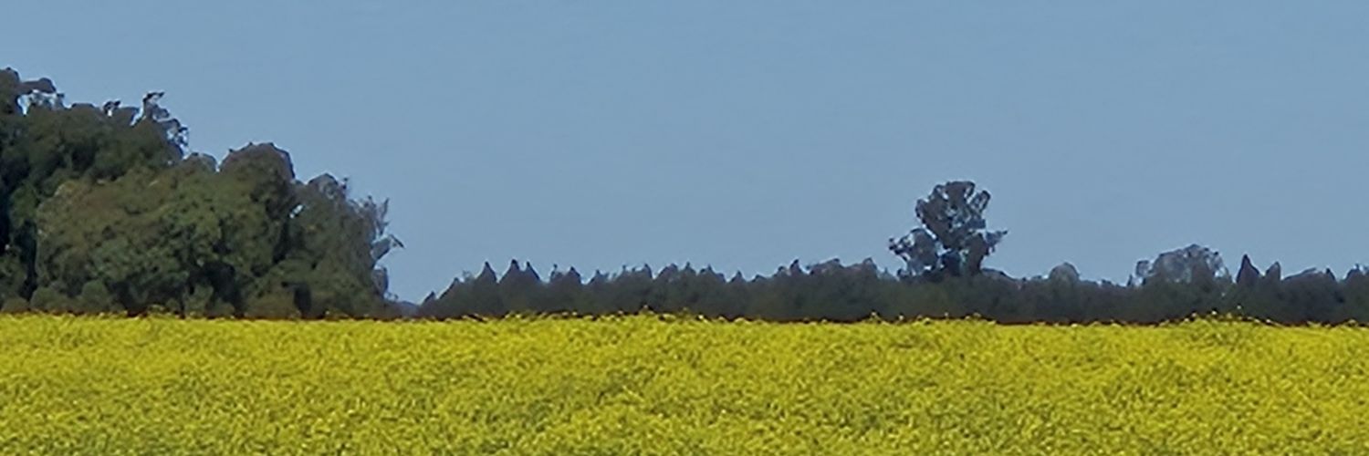fabiobon451's profile banner image