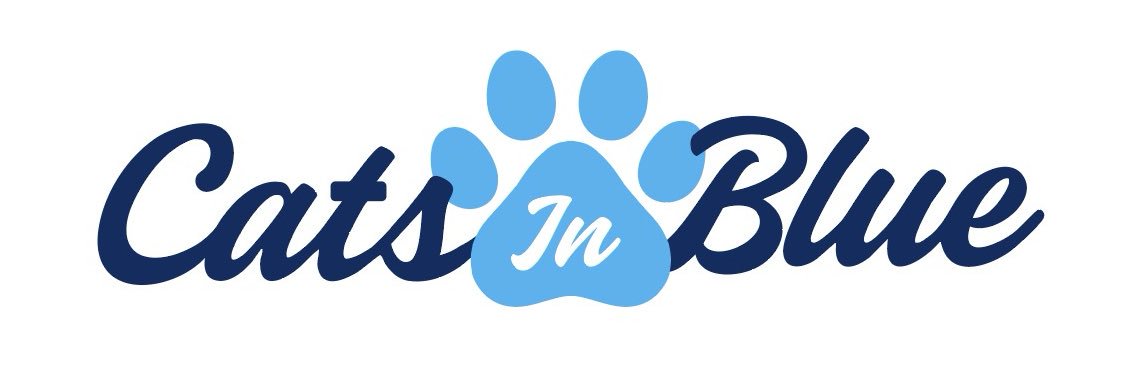 Cats in Blue banner