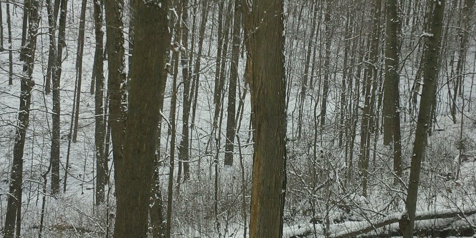 mrgeor's profile banner image