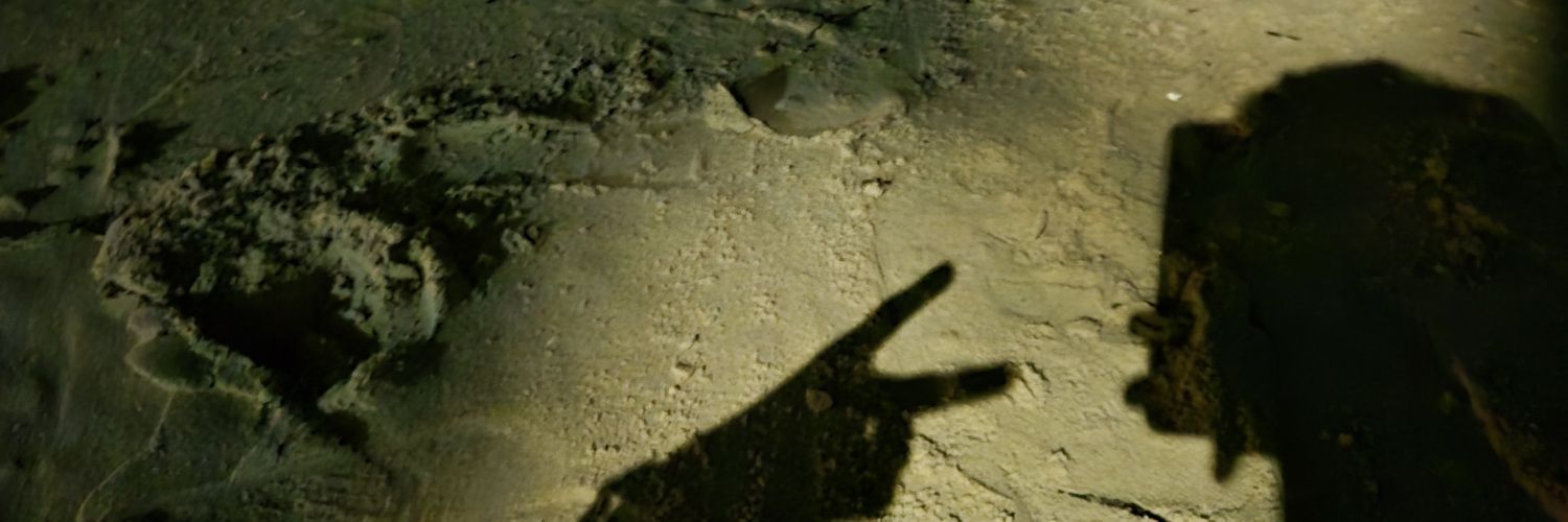 Vito_marcano's profile banner image