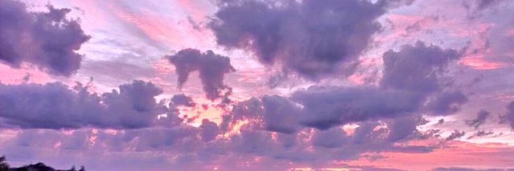 🪕's banner