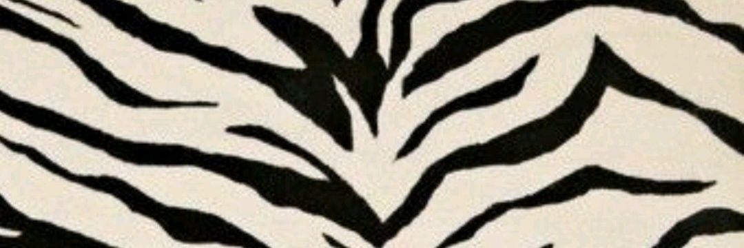 Elesermar's profile banner image