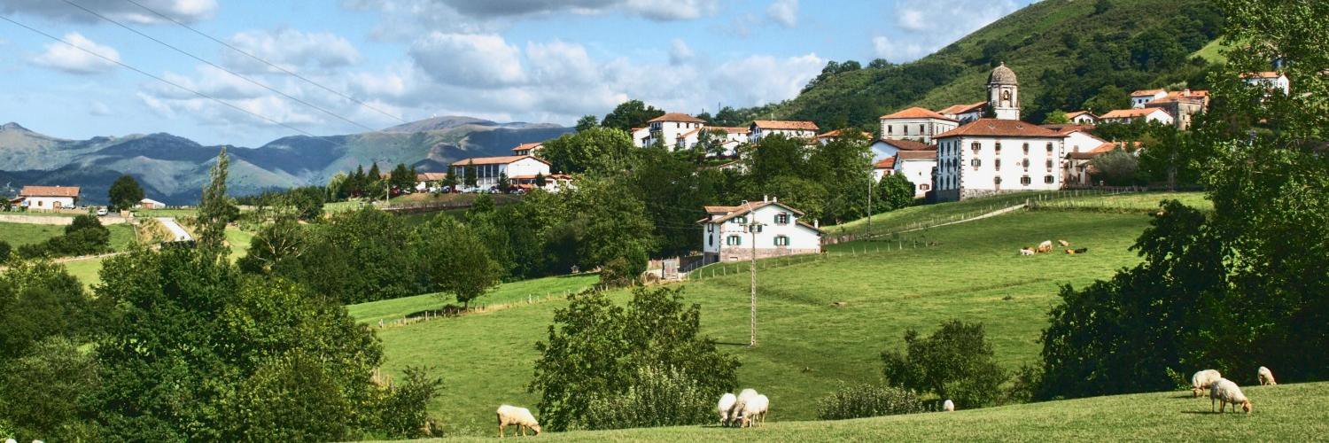 Turismo en Navarra banner