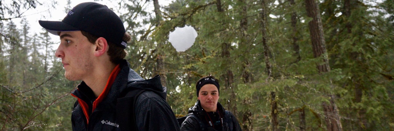 tntonini's profile banner image