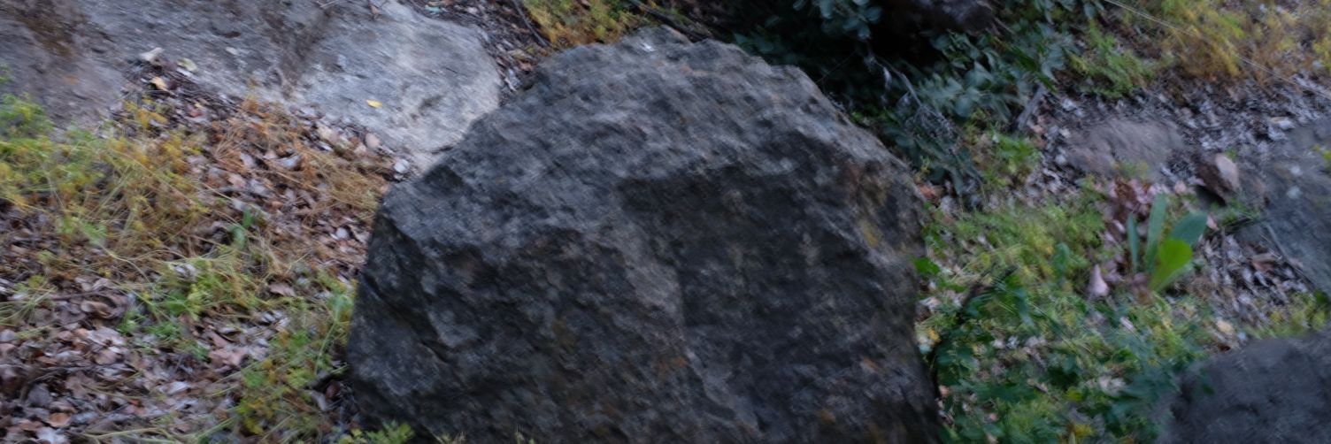 malarrea's profile banner image
