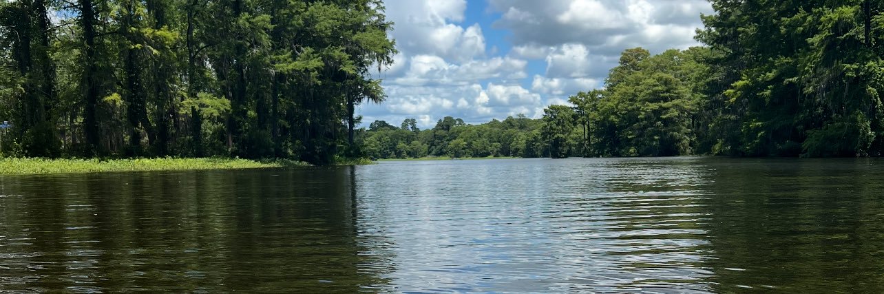 Potentially Bias banner