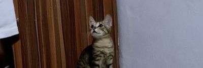 cryptoloud.base.eth banner