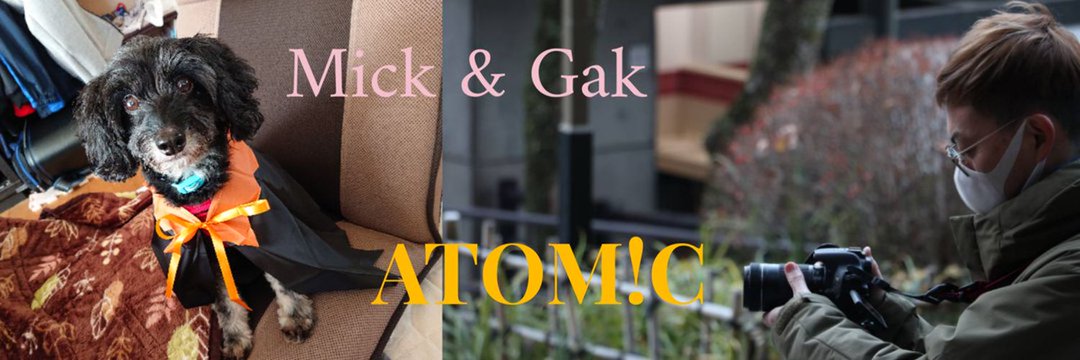 gak_atomic's profile banner image