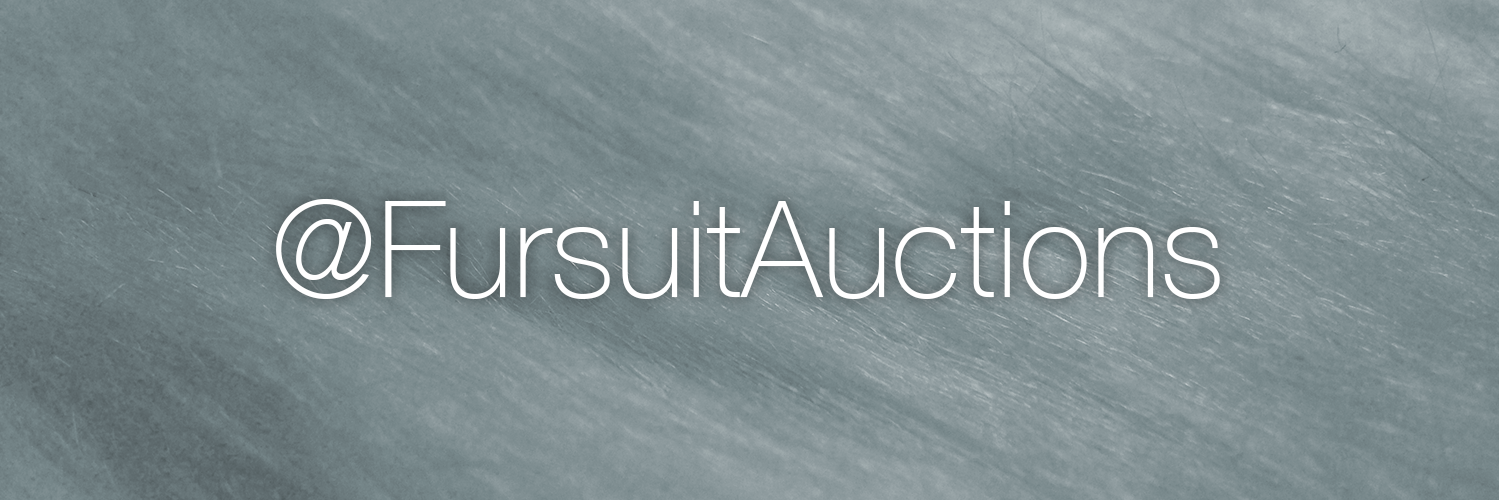 FursuitAuctions's profile banner image
