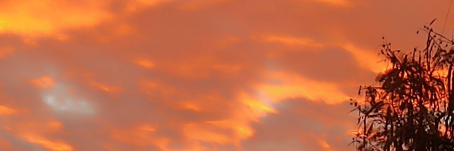 Adi banner