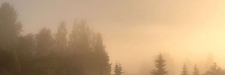 ╰﹕Squishi✦*•//🔞 banner