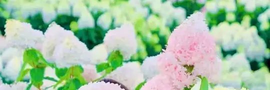 疆山如画 banner