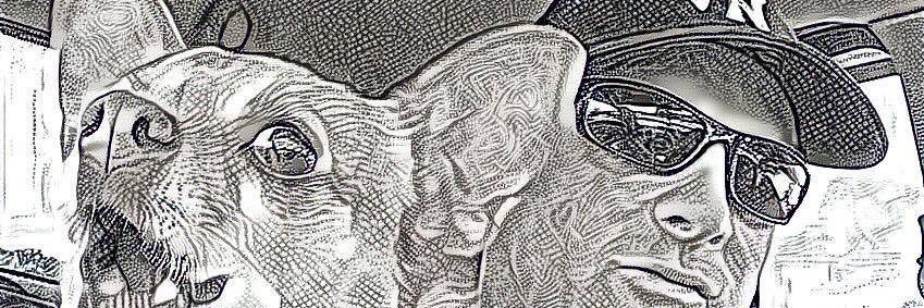 Noel banner