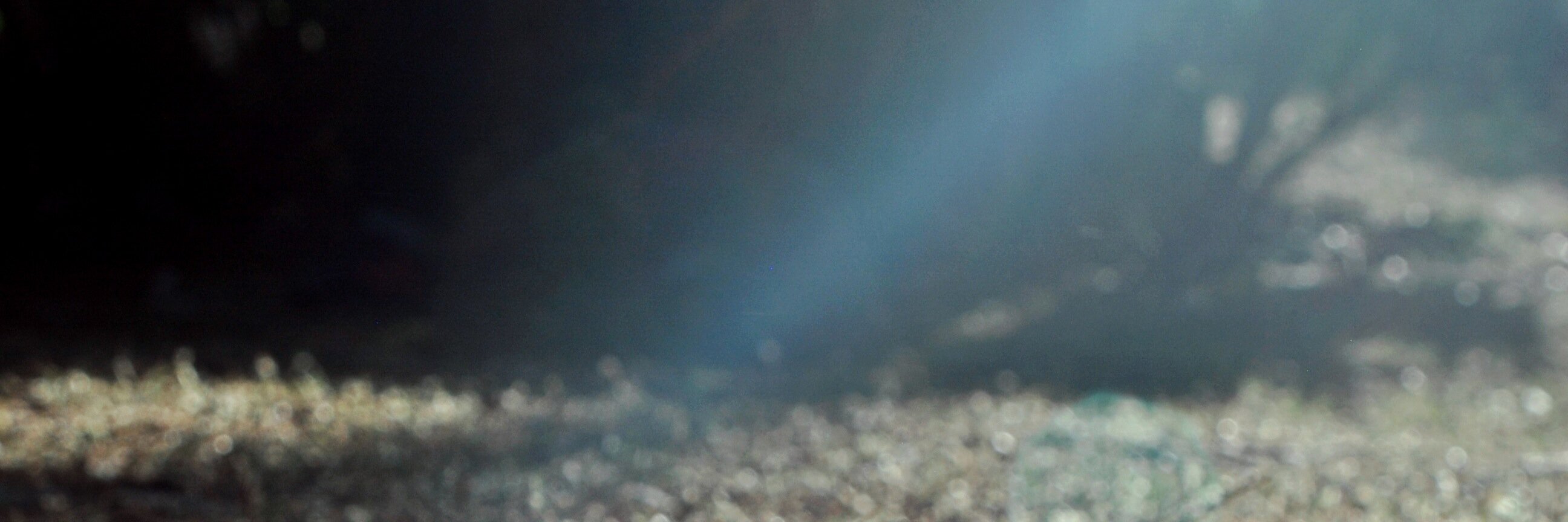 FloresAlCorazon's profile banner image
