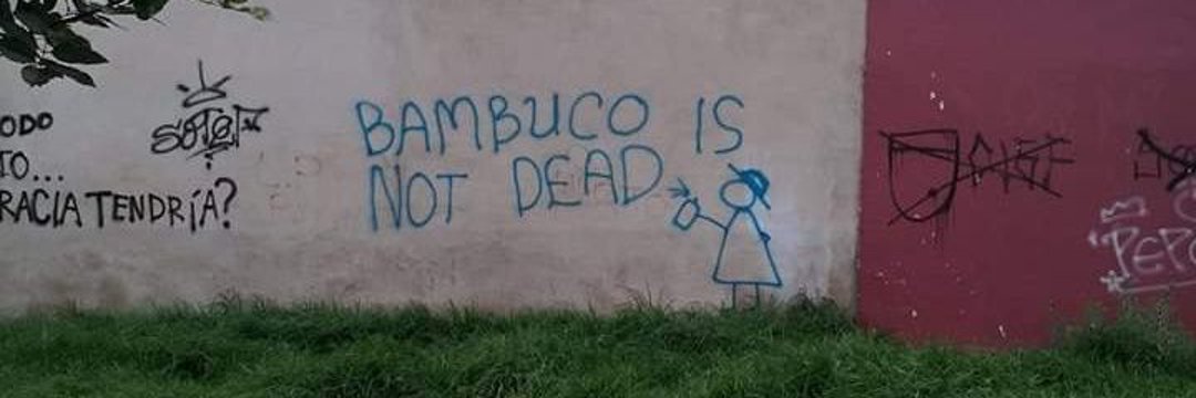 RolaBambuquera's profile banner image