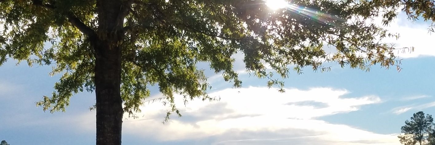 Lakeside Computers banner