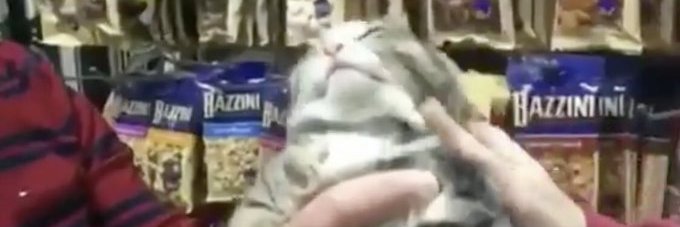 jcwakely's profile banner image