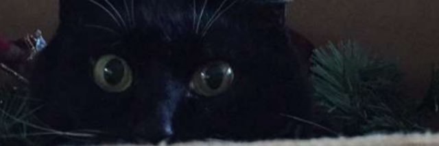 KONNNKK's profile banner image