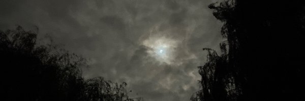 tc810216186431 Profile Banner