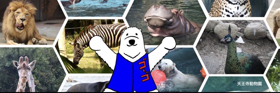 MORI MORI PANDA banner