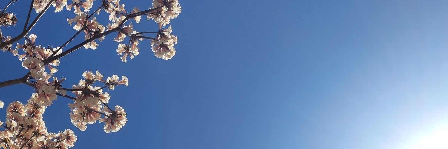 ahctizeram's profile banner image