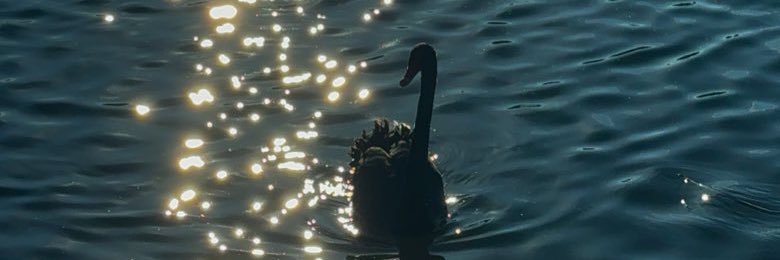 Sunsetsaremylife banner