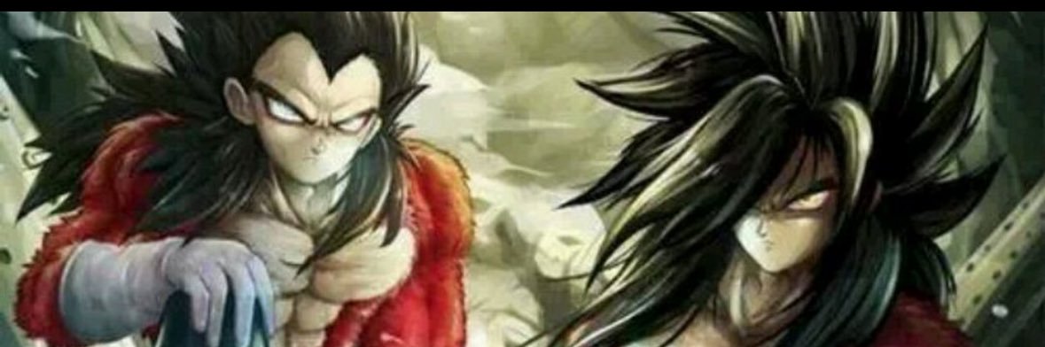Sean banner