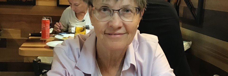 Diane Hayfield banner