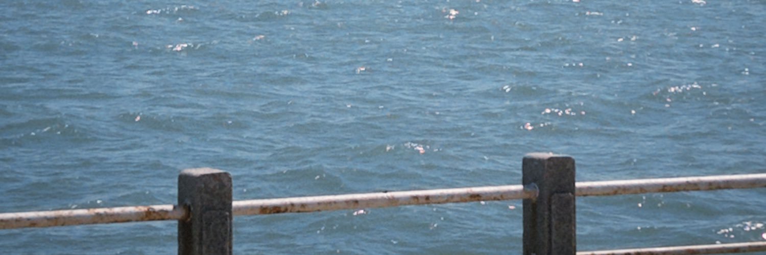Lieoeld9's profile banner image