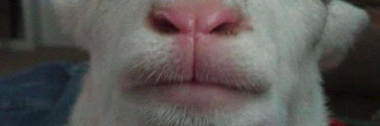 anthraxx99's profile banner image
