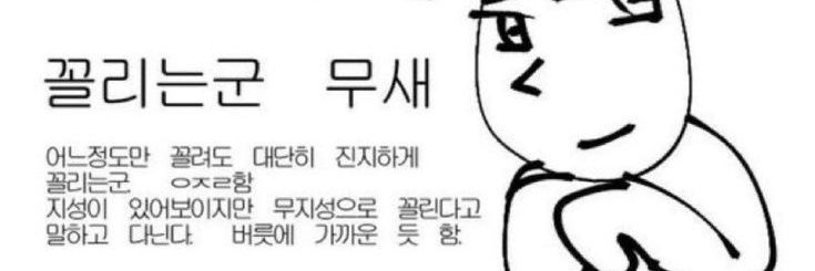 미소녀 지망생 banner