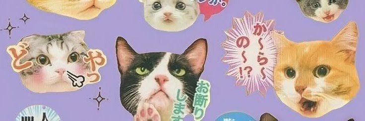wasniie's profile banner image
