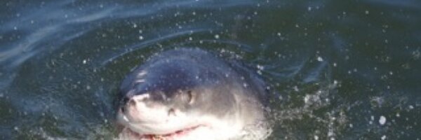 apunt Profile Banner