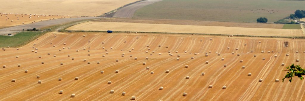 Dennis Palmer banner