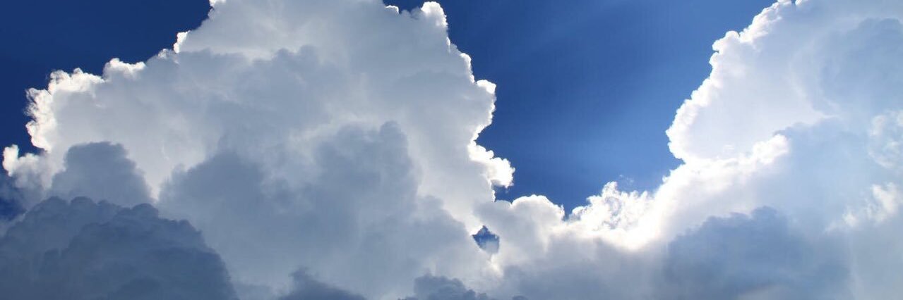 pauliedreamers banner