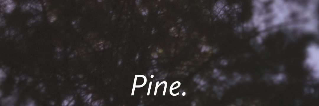 Ikhsnadhys's profile banner image