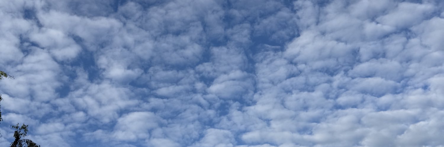 teambardaonly's profile banner image