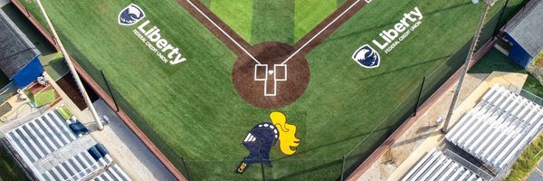 Castle_Baseball Profile Banner