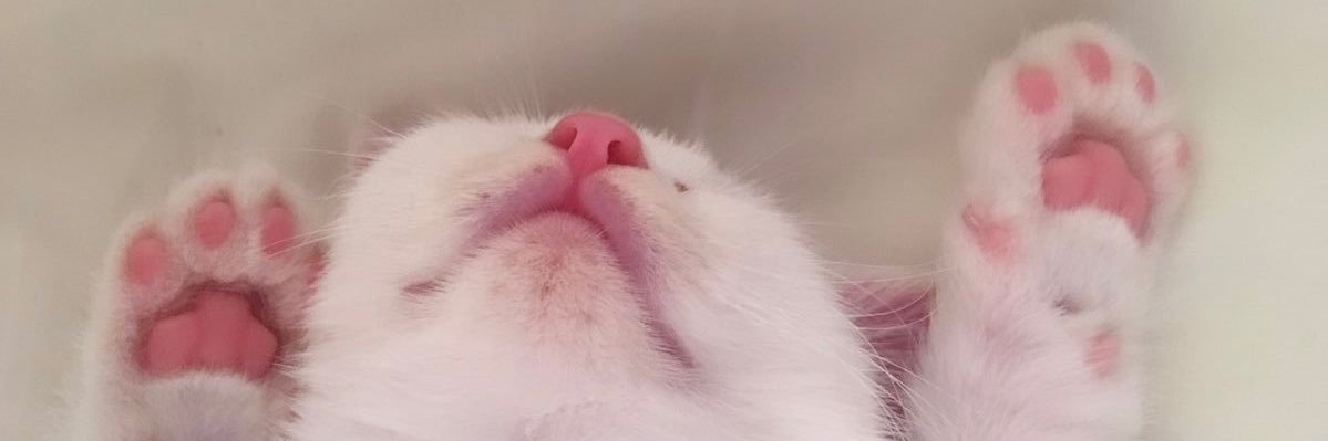 りょう🎀 banner