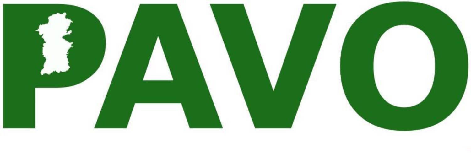 PAVO Mental Health banner